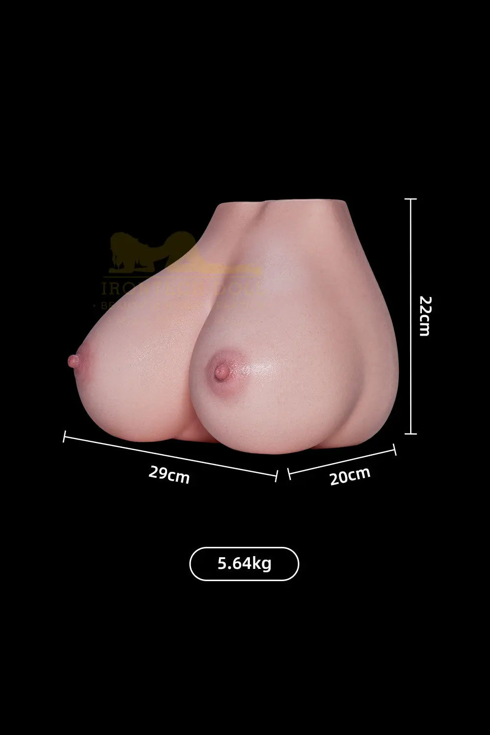 Treasure Chest – Breast Model
